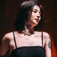 2024最新歌中文動(dòng)感慢搖串燒